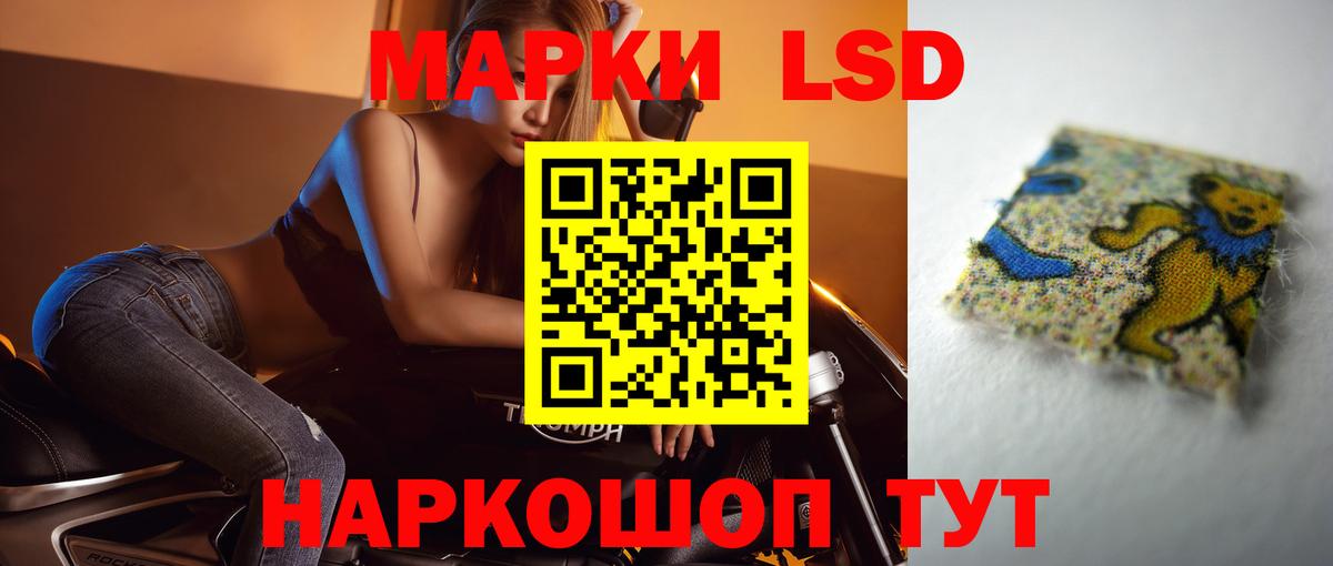 Псилоцибиновые грибы Троицк