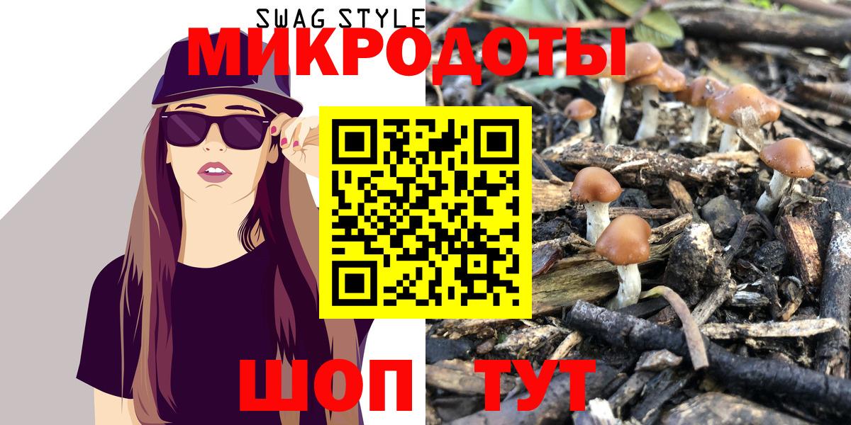 Галлюциногенные грибы Magic Shrooms  Псилоцибиновые грибы прущие грибы  Троицк  Вход с VPN 